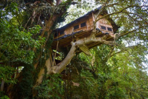 Kumbuk Tree House Yala, Tissamaharama